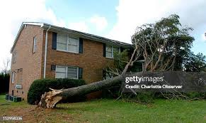 120 Lowell Wood Stock Photos, High-Res Pictures, and Images