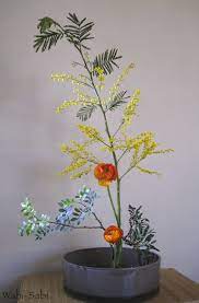 Ranunculo Mimosa Y Lentisco