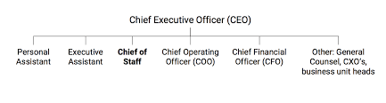They may also aid other executive managers. Deputy Ceo Roles And Responsibilities Sablon