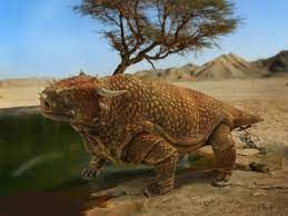 Maybe you would like to learn more about one of these? Ø§Ù„Ø§Ø±Ø¶ Ù…Ø§ Ù‚Ø¨Ù„ Ø§Ù„ØªØ§Ø±ÙŠØ® Ø§Ù„Ø£Ù†Ø·ÙˆØ¯ÙˆÙ† Anthodon Ø­ÙŠÙˆØ§Ù† Ù†Ø¨Ø§ØªÙŠ Ø¹Ø§Ø´ Ø®Ù„Ø§Ù„ Ø§Ù„Ø¹ØµØ± Ø§Ù„Ø¨Ø±Ù…ÙŠ ÙÙŠÙ…Ø§ ÙŠØ¹Ø±Ù Ø§Ù„Ø§Ù† Ø¨Ø¬Ù†ÙˆØ¨ Ø§ÙØ±ÙŠÙ‚ÙŠØ§ ÙˆØªÙ†Ø²Ø§Ù†ÙŠØ§ ÙŠÙ…Ø´ÙŠ Ù‡Ø°Ø§ Ø§Ù„Ø­ÙŠÙˆØ§Ù† Ø¹Ù„Ù‰ Ø§Ø±Ø¨Ø¹Ø© Ø§Ø±Ø¬Ù„ ÙˆÙ…Ø§ ÙŠÙ…ÙŠØ²Ù‡ Ù‡Ùˆ Ø°Ø±Ø¹Ù‡ Ø§Ù„Ù…ØµÙØ­ Ø§Ù„Ø°ÙŠ ÙŠØ¬Ø¹Ù„Ù‡