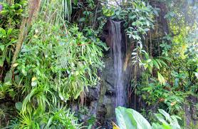 Some of the most beautiful waterfalls in missouri include the cascades at forest park in st. File Gfp Climatron Waterfall St Louis Botanical Gardens Jpg Wikimedia Commons