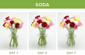 It will extend the life of the flowers. How To Make Flowers Last Longer 9 Tricks Proflowers