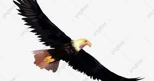 Burung helang kartun terbang ilustrasi psd percuma muat turun. Menakjubkan 15 Gambar Kartun Elang Terbang Kumpulan Gambar Grafiti Keren Kualitas Hd Yang Dapat Digunakan Untuk Keperluan A Gambar Kartun Burung Elang Gambar