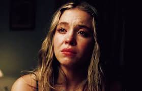 @danynohoy's video Tweet