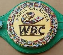 The wbc's green championship belt portrays the flags of all of the 161 member countries of the organization. 10 Best Sports Championship Belt For Winners In 2020 Wbc World Boxing Boxing Champions