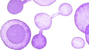 Image result for CSF Culture