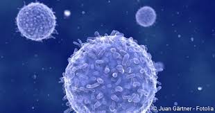 Lupus Erythematodes Ursachen Formen Therapie Netdoktor