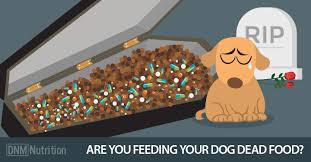 Maybe you would like to learn more about one of these? Why 99 Of Dog Food Is Fake Dogs Naturally