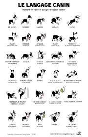 Language Of Dog French Version Honden Lichaamstaal Honden Honden Teksten