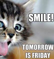 Funny happy thursday quotes for friends and family. Best Funny Quotes Top 27 Thursday Meme Best Funny Quotes Flickr