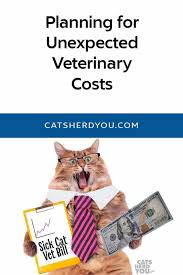 Cecilia fuquay needs your support for emergency vet cost. Planning For Unexpected Veterinary Costs Cats Herd You