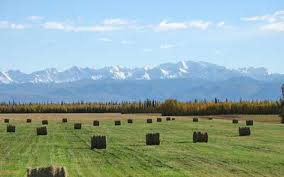The six women are sharing three big vans, each of which boasts a length of 12 meters, in which they live throughout the year. 5592 Acres Delta Junction Ak Property Id 3347441 Land And Farm