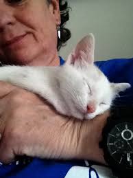 Whuli & Me [Explored]