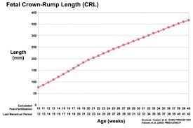 crown rump length embryology