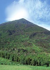 Image result for Disperis reklieberae