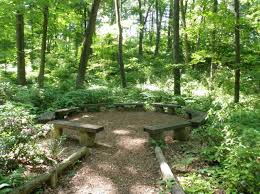 Mbgna is owned by the university of michigan. Matthaei Botanical Gardens Nichols Arboretum