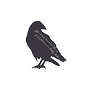 Profile Picture of Autumn Crow Sticker – SweetfireRoad (@sweetfireroad.com) on Google