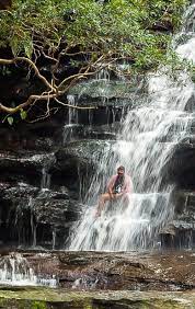 Moss covered rocks, lush green plants and the sound of these beautiful waterfalls. Somersby Falls Icentralcoast