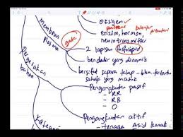Please == like == subscribe == comment == share || biologi tingkatan 5 | bab 3 : Biologi Bab 3 Bahagian 1 Pergerakan Bahan Merentas Membran Plasma Spm Tingkatan 4 Youtube
