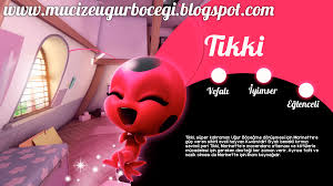 Tikki Mucize Ugur Bocegi Ile Kara Kedi