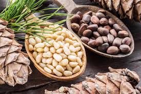 Check spelling or type a new query. Growing Pine Nuts Planting Guide Care Problems And Harvest