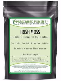 En many types of seaweed contain relatively high concentrations of iodine, such as irish moss. Mousse Irlandaise 4 1 Poudre D Extrait D Algues De Carraghene Naturelle Chondrus Crispus Fruugo Fr