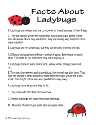 Black And Red Ladybug Meaning Facts About Ladybugs Teaching Mama Ladybugs Preschool Facts For Kids Ladybug Quotes