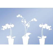 Fenster Sichtschutz Folie Orchidee