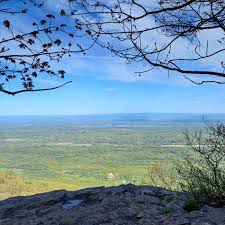 The Best Places To Eat And Drink In The Western Catskills Eater Ny