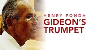 Steven Peterman: Movies, TV, and Bio