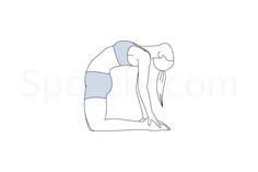 Pin On Warm Up Cool Down