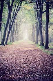 Untitled Landscape Photography Nature Photography Amazing Photography