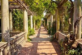Hill Garden Amp Pergola London See 30 Reviews Articles And 93 Photos Of Hill Garden Amp Pergola Ranked No 472 O Garden On A Hill London Garden Pergola