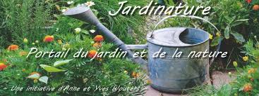 Téléchargez un calendrier 2021 en pdf gratuitement ! Calendrier Lunaire 2020 2021 Jardiner Planter Semer Avec La Lune Jardinage Conseils De Jardinage Calendrier Jardinage