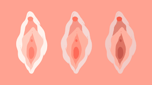 Lol i loved her vagina, i ate that shit for breakfast, lunch, and dinner. 23 Vagina Facts You Ll Want To Tell All Your Friends