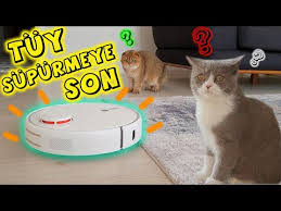 Kedi Tuyu Temizlemeye Son Xiaomi Robot Supurge 1s Youtube