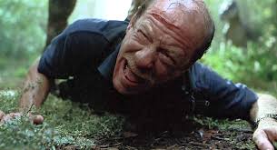 It's gonna be a walk in the park" The park: