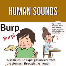 Pin By Savr1n D On Ok Human Sounds In 2021 English Teaching Resources English Vocabulary Words Teaching English