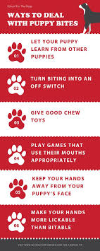 The Internet Might Say To Make A Loud Yip If Your Dog Nips You But There Are Better Ways To Curb Puppy Bites This Blog Pos Puppy Biting Dog Nipping Puppies