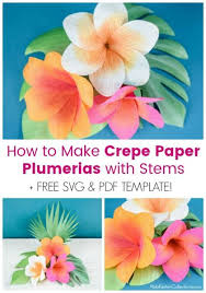 And some cute birdies in a paper plate nest (for letter n). Diy Crepe Paper Plumeria Flowers Abbi Kirsten Collections