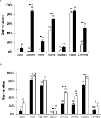 Image result for Ochthocharis dicellandroides