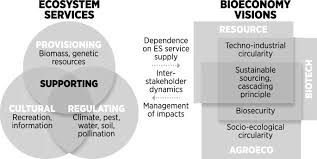 The official worlds for pest control are worlds 53, 69 (p2p). Reviewing The Interface Of Bioeconomy And Ecosystem Service Research Springerlink