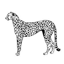 Check spelling or type a new query. Top 25 Free Printable Leopard Coloring Pages Online