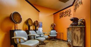 Southwest corner wolf & laporte. Mane Tamers Salon Mokena Il