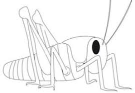 Free printable grasshopper coloring pages. Kigaportal