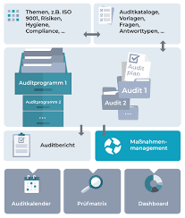 Mit dieser vorlage kvp maßnahmenliste erhalten sie kostenlose formulare zur planung und durchführung von kvp projekten. Auditmanagement Software Fur Krankenhauser Inworks