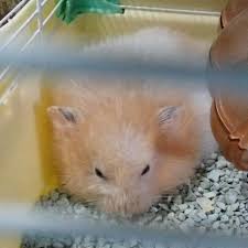 9 materi ki/kd ipk materi referensi contoh proposal : Berikan Kata2 Teknis Dlm Proposal Kadar Keilmuan Tulisan Siswa Sman 3 Tasikmalaya Brainly Co Id