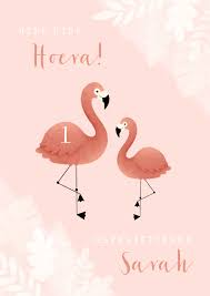 Verjaardagskaart Eerste Verjaardag Met Flamingo Kaartje2go