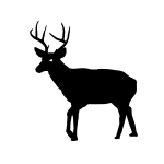 Download Deer Silhouette 1573809884 Free Svg PSD Mockup Templates
