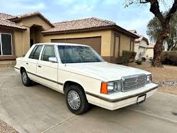 Image result for Stone Beige 1994 Reliant